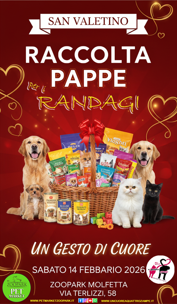 ❤️🐾 A San Valentino, innamorati… di chi ti ama davvero.