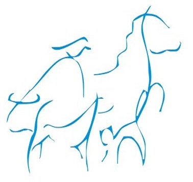 BMVet - Centro Medico Veterinario sito in Bari
