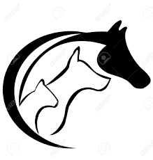 Roberto Gramegna - Centro Medico Veterinario sito in Ruvo di Puglia(BA)
